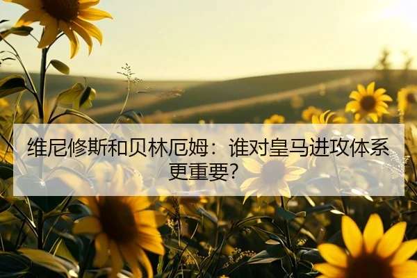 维尼修斯和贝林厄姆:谁对皇马进攻体系更重要?
